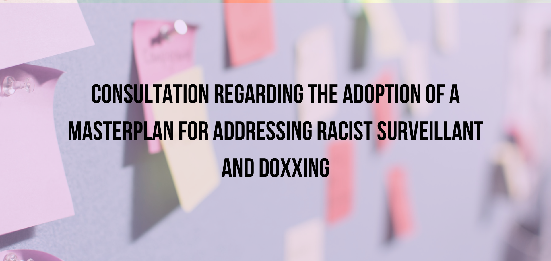 CONSULTATION REGARDING THE ADOPTION OF A MASTERPLAN FOR ADDRESSING RACIST SURVEILLANT AND DOXXING