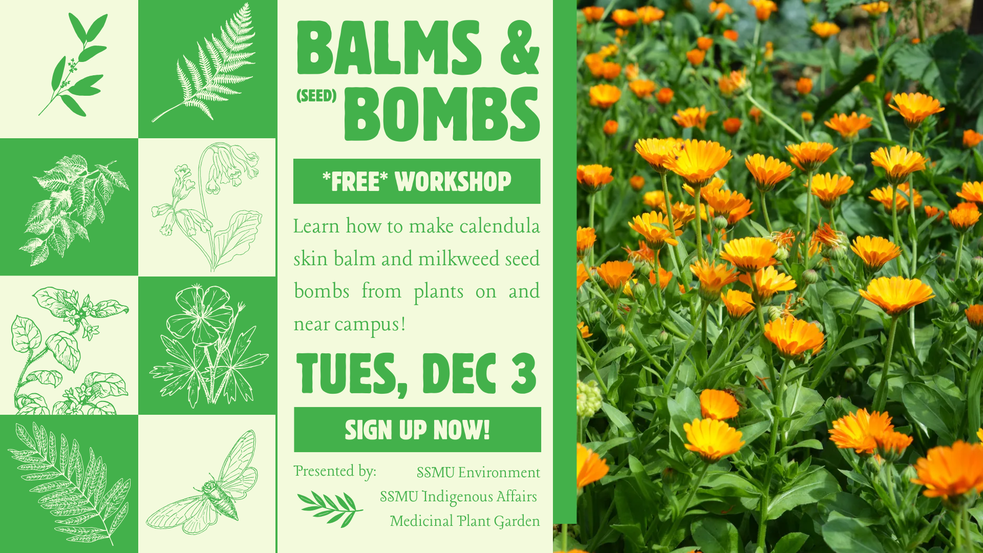 BALMS & (SEED) BOMBS: FREE WORKSHOP!